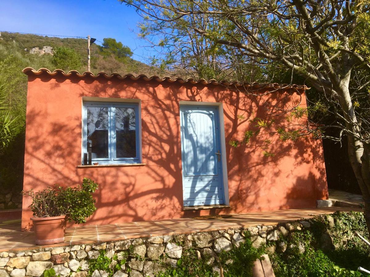 Magnifique Studio Dans Maisonnette Tourrettes-sur-Loup Exteriér fotografie